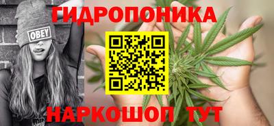 шишки Малоярославец